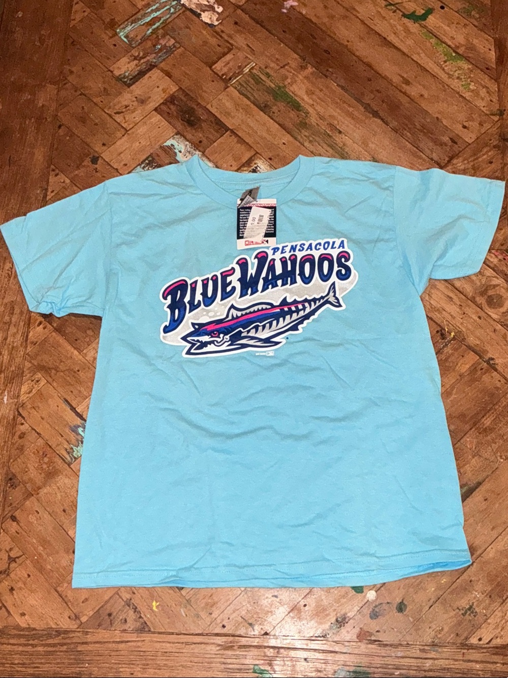 Gildan Light Blue Pensacola Blue Wahoos Kids Graphic Tee